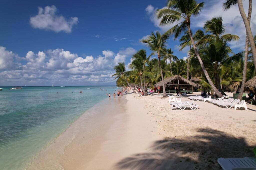 Coconut palms and beach chairs along the shore of Bávaro Beach in Punta Cana