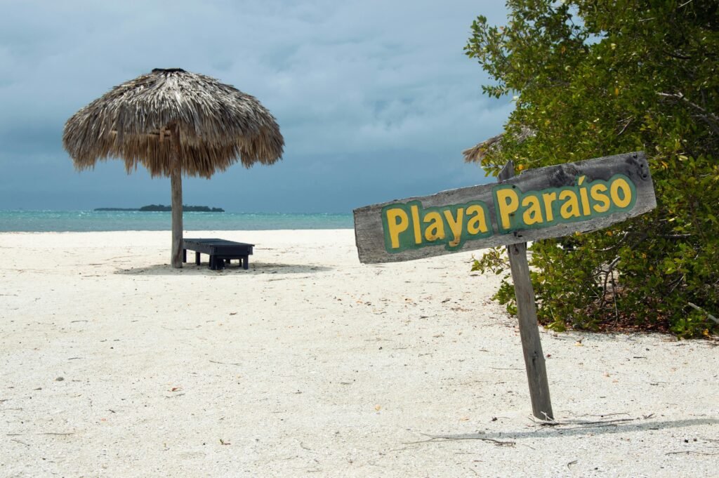 Palm-lined shoreline and turquoise water at Playa Paraiso in Tulum, Mexico